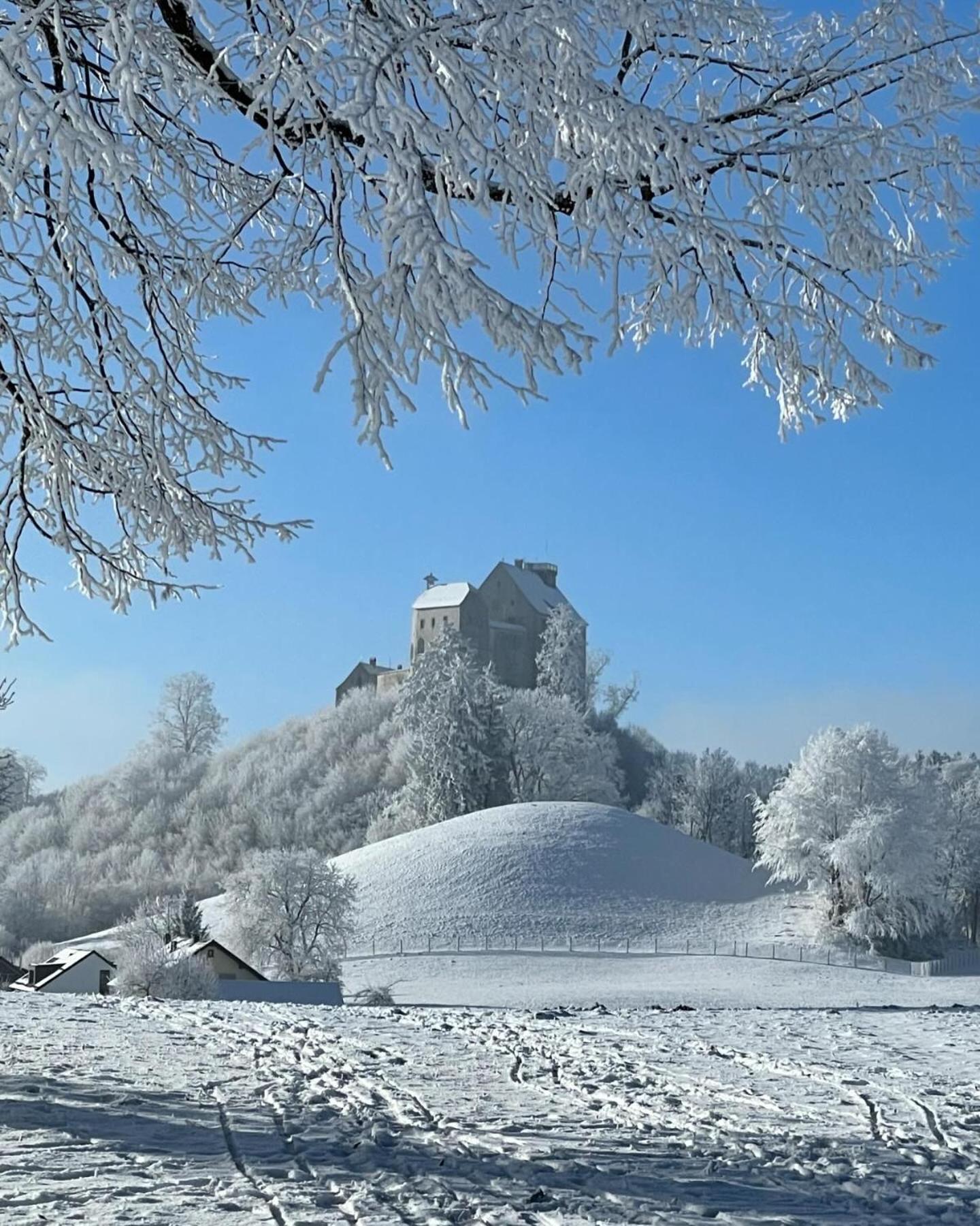 Апартаменты Am Kohlenberg Waldburg Экстерьер фото